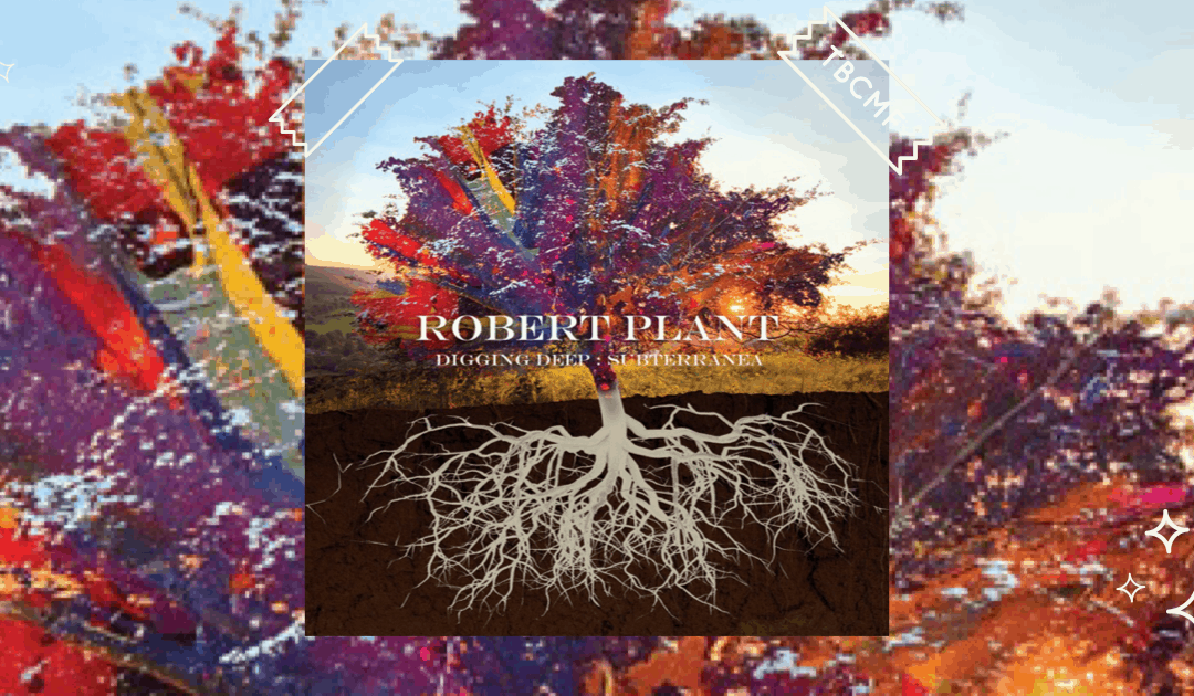 Robert Plant | Nothing Takes The Place Of You | Review