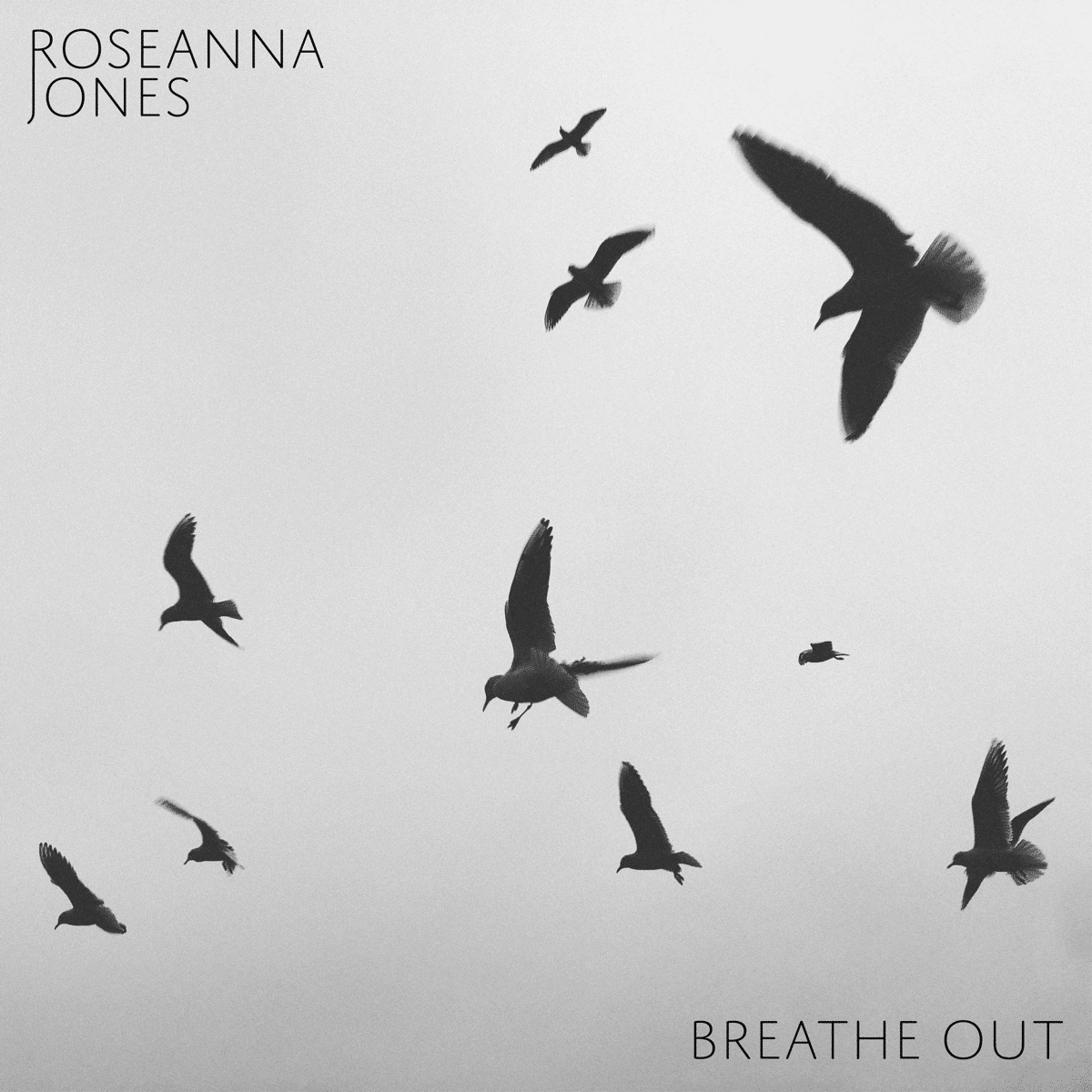 Cover art for Roseanna Jones Breathe Out